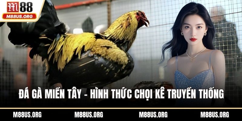 Đá gà miền Tây